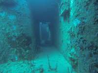 Great day of scuba diving in Key Largo with Rainbow Reef on spiegel grove tropical odyssey 2017 05 25 r4255 1