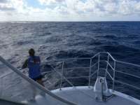 Great day of scuba diving in Key Largo with Rainbow Reef on uscgc duane tropical odyssey 2017 05 17 r4226 1