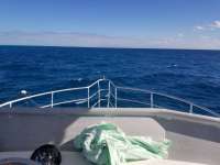 Great day of scuba diving in Key Largo with Rainbow Reef on benwood wreck tropical odyssey 2017 11 02 r4892 1
