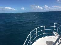 Great day of scuba diving in Key Largo with Rainbow Reef on christmastree cave tropical legend 2017 11 14 r4961 1