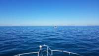 Great day of scuba diving in Key Largo with Rainbow Reef on christmastree cave tropical legend 2017 11 25 r5034 1