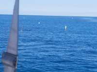 Great day of scuba diving in Key Largo with Rainbow Reef on city of washington tropical adventure 2017 11 06 r4921 1