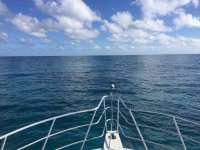 Great day of scuba diving in Key Largo with Rainbow Reef on city of washington tropical adventure 2017 11 21 r5008 1
