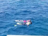 Great day of scuba diving in Key Largo with Rainbow Reef on eagle ray alley tropical legend 2017 11 03 r4901 1