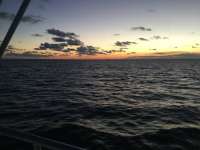 Great day of scuba diving in Key Largo with Rainbow Reef on eagle ray alley tropical legend 2017 11 07 r4929 1