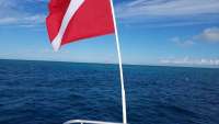 Great day of scuba diving in Key Largo with Rainbow Reef on eagle ray alley tropical legend 2017 11 29 r5049 1