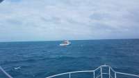 Great day of scuba diving in Key Largo with Rainbow Reef on eagle ray alley tropical odyssey 2017 11 12 r4956 1