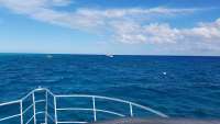 Great day of scuba diving in Key Largo with Rainbow Reef on fire coral cave tropical odyssey 2017 11 03 r4900 1