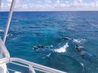 Great day of scuba diving in Key Largo with Rainbow Reef on molasses reef tropical legend 2017 11 17 r4981 1