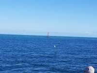 Great day of scuba diving in Key Largo with Rainbow Reef on permit ledges tropical adventure 2017 11 22 r5011 1