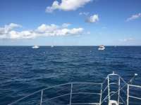 Great day of scuba diving in Key Largo with Rainbow Reef on permit ledges tropical legend 2017 11 18 r4991 1