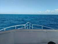 Great day of scuba diving in Key Largo with Rainbow Reef on spiegel grove tropical odyssey 2017 11 04 r4905 1