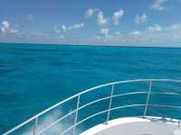 Great day of scuba diving in Key Largo with Rainbow Reef on spiegel grove tropical odyssey 2017 11 05 r4913 1