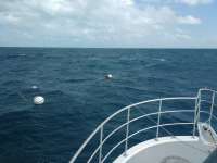 Great day of scuba diving in Key Largo with Rainbow Reef on spiegel grove tropical odyssey 2017 11 11 r4950 1