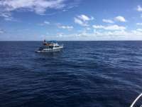 Great day of scuba diving in Key Largo with Rainbow Reef on spiegel grove tropical odyssey 2017 11 21 r5007 1