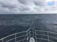 Great day of scuba diving in Key Largo with Rainbow Reef on spiegel grove tropical odyssey 2017 11 28 r5047 1