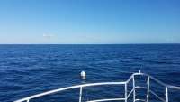 Great day of scuba diving in Key Largo with Rainbow Reef on uscgc bibb tropical odyssey 2017 11 22 r5012 1