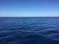 Great day of scuba diving in Key Largo with Rainbow Reef on uscgc duane tropical adventure 2017 11 25 r5035 1