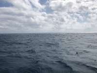 Great day of scuba diving in Key Largo with Rainbow Reef on winch hole tropical voyager 2017 11 11 r4951 1