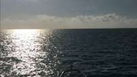 Great day of scuba diving in Key Largo with Rainbow Reef on benwood wreck tropical legend 2017 10 08 r4786 1