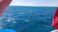 Great day of scuba diving in Key Largo with Rainbow Reef on french reef tropical adventure 2017 10 20 r4848 1