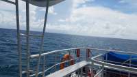 Great day of scuba diving in Key Largo with Rainbow Reef on molasses reef tropical odyssey 2017 10 12 r4805 1
