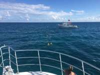 Great day of scuba diving in Key Largo with Rainbow Reef on molasses reef tropical odyssey 2017 10 19 r4841 1