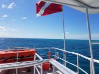Great day of scuba diving in Key Largo with Rainbow Reef on pickle barrel wreck tropical legend 2017 10 31 r4882 1