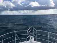 Great day of scuba diving in Key Largo with Rainbow Reef on pickles reef tropical legend 2017 10 20 r4847 1