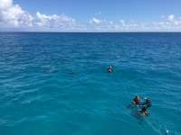 Great day of scuba diving in Key Largo with Rainbow Reef on sand island tropical adventure 2017 10 19 r4838 1