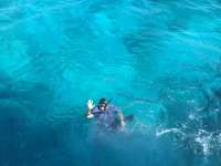 Great day of scuba diving in Key Largo with Rainbow Reef on sand island tropical legend 2017 10 14 r4812 1