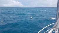 Great day of scuba diving in Key Largo with Rainbow Reef on spiegel grove tropical odyssey 2017 10 12 r4804 1