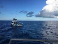 Great day of scuba diving in Key Largo with Rainbow Reef on spiegel grove tropical odyssey 2017 10 19 r4837 1