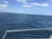 Great day of scuba diving in Key Largo with Rainbow Reef on the horseshoe tropical legend 2017 10 11 r4802 1