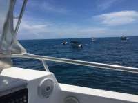 Great day of scuba diving in Key Largo with Rainbow Reef on christ statue tropical odyssey 2017 09 04 r4734 1