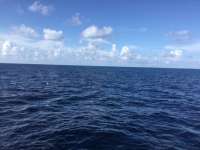 Great day of scuba diving in Key Largo with Rainbow Reef on christmastree cave tropical legend 2017 09 05 r4736 1