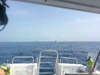 Great day of scuba diving in Key Largo with Rainbow Reef on drift molasses tropical explorer 2017 09 30 r4765 1