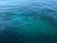 Great day of scuba diving in Key Largo with Rainbow Reef on hole in the wall tropical legend 2017 09 28 r4754 1