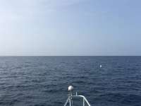 Great day of scuba diving in Key Largo with Rainbow Reef on spiegel grove tropical adventure 2017 09 30 r4763 1