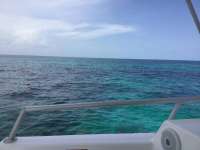 Great day of scuba diving in Key Largo with Rainbow Reef on the horseshoe tropical odyssey 2017 09 03 r4730 1