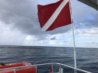 Great day of scuba diving in Key Largo with Rainbow Reef on winch hole tropical legend 2017 09 23 r4743 2