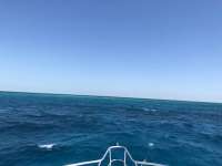 Great day of scuba diving in Key Largo with Rainbow Reef on benwood wreck tropical adventure 2018 04 28 r5888 1