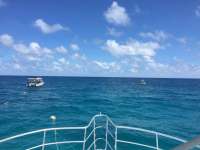 Great day of scuba diving in Key Largo with Rainbow Reef on benwood wreck tropical legend 2018 04 03 r5735 1