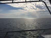 Great day of scuba diving in Key Largo with Rainbow Reef on benwood wreck tropical legend 2018 04 08 r5768 1