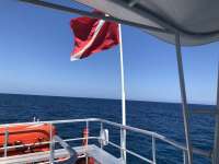 Great day of scuba diving in Key Largo with Rainbow Reef on benwood wreck tropical legend 2018 04 24 r5869 1