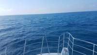 Great day of scuba diving in Key Largo with Rainbow Reef on benwood wreck tropical odyssey 2018 04 09 r5776 1