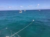 Great day of scuba diving in Key Largo with Rainbow Reef on benwood wreck tropical voyager 2018 04 02 r5726 1