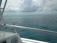 Great day of scuba diving in Key Largo with Rainbow Reef on christ statue tropical odyssey 2018 04 27 r5881 1