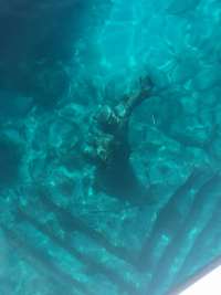 Great day of scuba diving in Key Largo with Rainbow Reef on christ statue tropical odyssey 2018 04 29 r5898 1