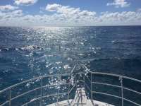 Great day of scuba diving in Key Largo with Rainbow Reef on christmastree cave tropical legend 2018 04 03 r5732 1